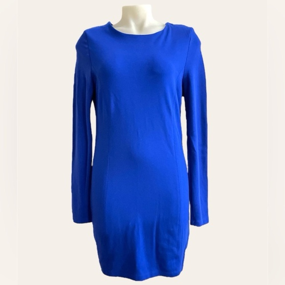 Bardot Longsleeve Bodycon Dress